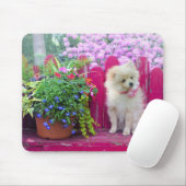 Pommerse Hond Bloemen Rustieke Tuin Bench Scene Muismat (Met muis)