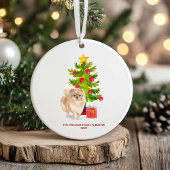 Pommerse hond gepersonaliseerde kerst keramisch ornament