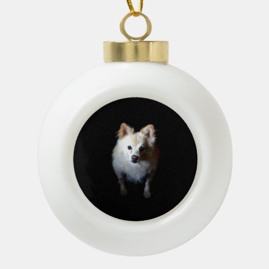 Pommerse Hond in Donker Keramisch Kerstornament Keramische Bal Ornament (Voorkant)