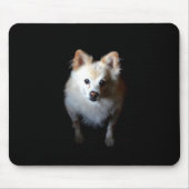 Pommerse Hond in Donker Mousepad Muismat (Voorkant)
