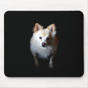 Pommerse Hond in Donker Mousepad Muismat