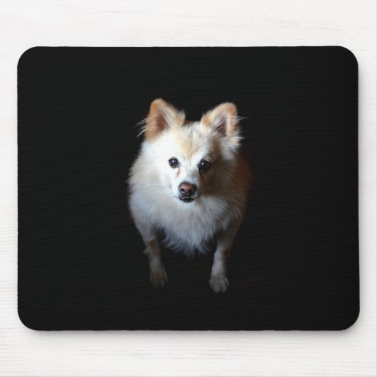 Pommerse Hond in Donker Mousepad Muismat (Voorkant)