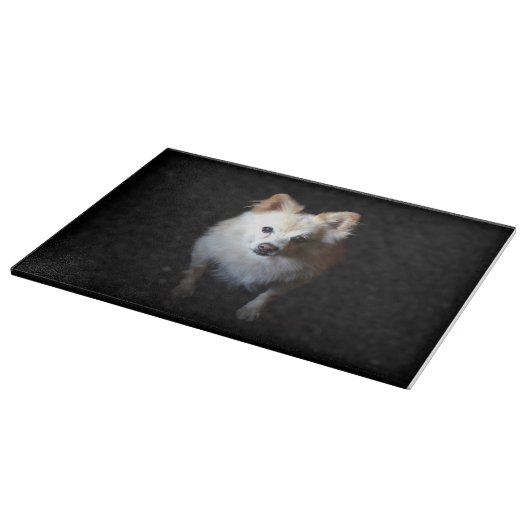 Pommerse hond in donkere snijplank (Hoek)