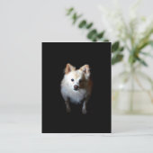 Pommerse hond in het donker briefkaart (Staand voorkant)