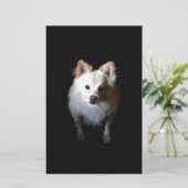 Pommerse hond in het donker briefpapier (Staand voorkant)