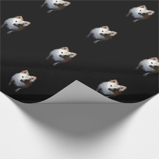 Pommerse hond in het donker cadeaupapier (Hoek)