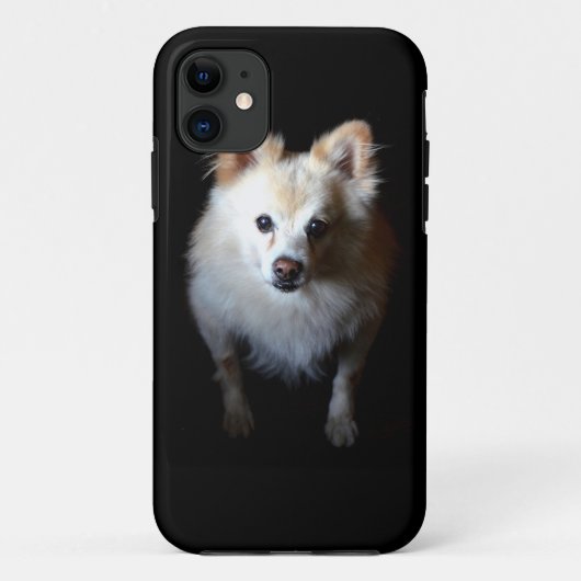 Pommerse hond in het donker Case-Mate iPhone case (Achterkant)