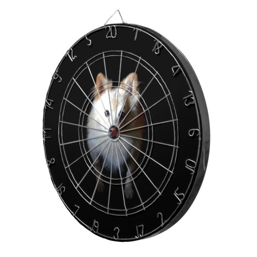 Pommerse hond in het donker dartbord (Voorkant Rechts)