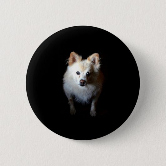 Pommerse hond in het donker ronde button 5,7 cm (Voorkant)