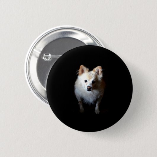 Pommerse hond in het donker ronde button 5,7 cm (Voorkant /achterkant)