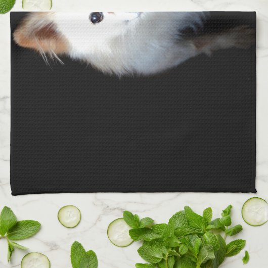 Pommerse hond in het donker theedoek (Gevouwen)