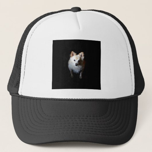 Pommerse hond in het donker trucker pet (Voorkant)