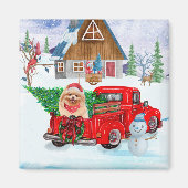 Pommerse hond in kerstcadeauwagen magneet (Voorkant)