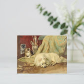  Pommerse Hond Kittens Wright Barker Briefkaart (Staand voorkant)