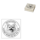 Pommerse Hond Pet Foto Rond Rubberstempel (Gestempeld)