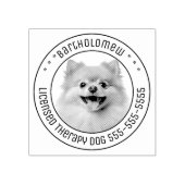 Pommerse Hond Pet Foto Rond Rubberstempel (Afrduk)
