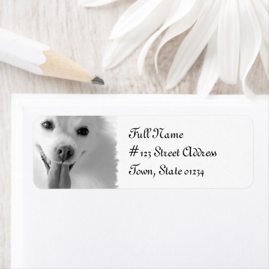 Pommerse hond retour adres mailing label (Insitu)