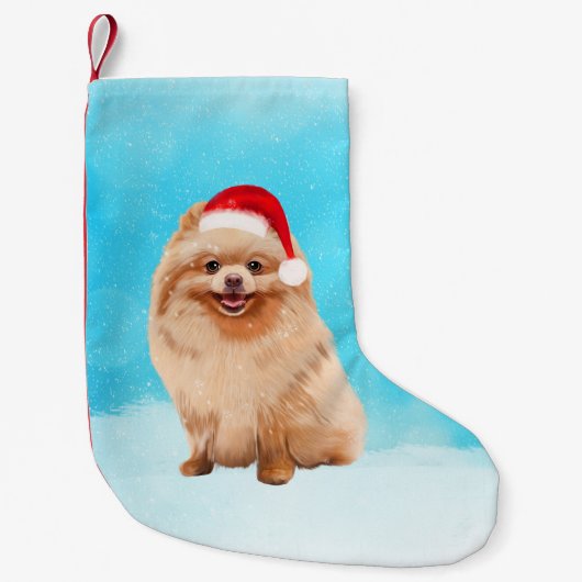 Pommerse Hond Zittend Op Strand Kerst Pet Kleine Kerstsok (Voorkant)