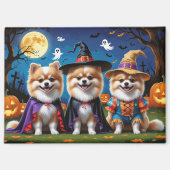 Pommerse Honden Pompoen Halloween Grappig Magneet (Voorkant)