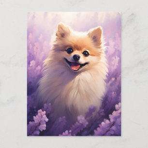 Pommerse in Lavendel veld Briefkaart