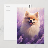 Pommerse in Lavendel veld Briefkaart (Voorkant / Achterkant)