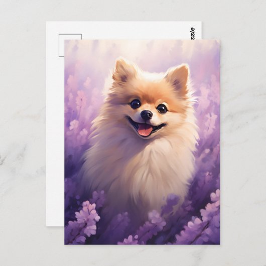 Pommerse in Lavendel veld Briefkaart (Voorkant / Achterkant)