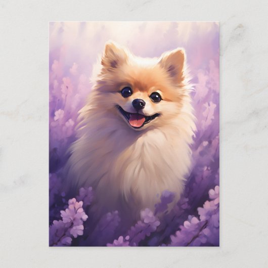 Pommerse in Lavendel veld Briefkaart (Voorkant)