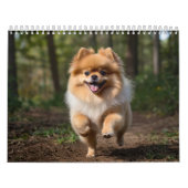 Pommerse kalender 2025 (Hoes)