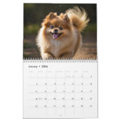 Pommerse kalender 2025 (Jan 2026)