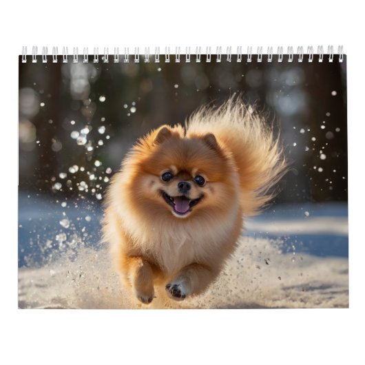 Pommerse kalender 2025 (Achterkant)