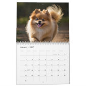 Pommerse kalender 2025 (Jan 2027)