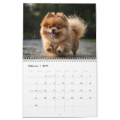 Pommerse kalender 2025 (Feb 2027)