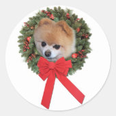 Pommerse Kerst sticker (Voorkant)