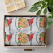 Pommerse Kerstman Tissuepapier (Geschenk)