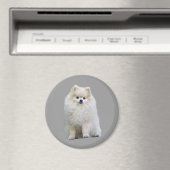 Pommerse magneet (Insitu (Vaatwasser))