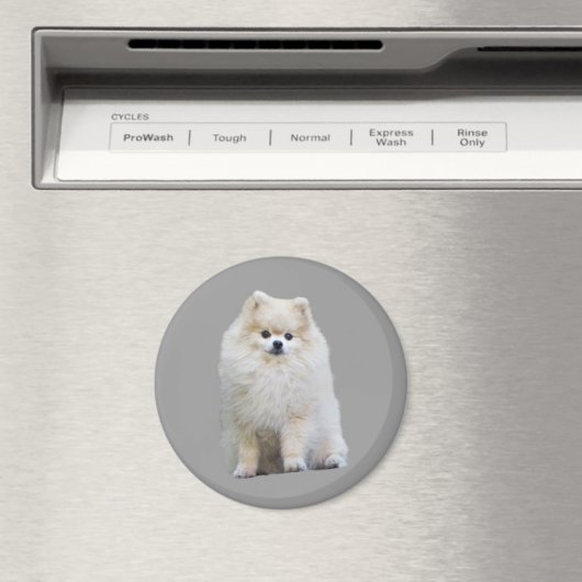 Pommerse magneet (Insitu (Vaatwasser))