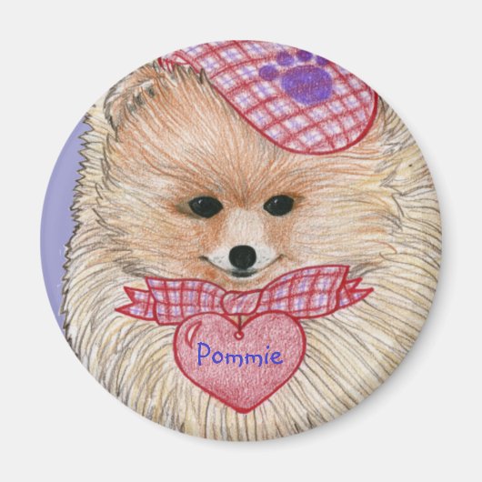 Pommerse magneet (Voorkant)