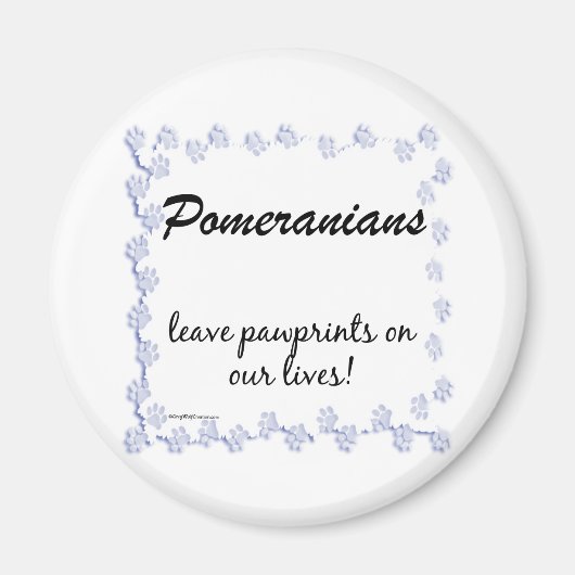 Pommerse Pawprints - Gepersonaliseerd Magneet (Voorkant)