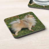 Pommerse Permanente Bier Onderzetter (Linkerzijde)