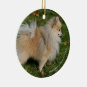 Pommerse Permanente Keramisch Ornament (Rechts)