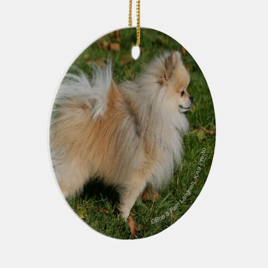 Pommerse Permanente Keramisch Ornament (Rechts)