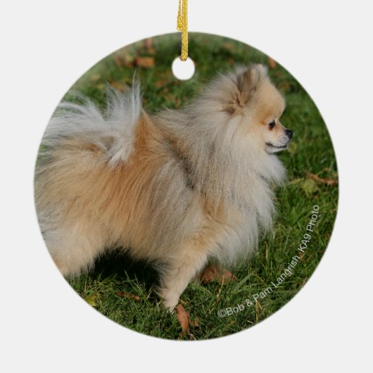 Pommerse Permanente Keramisch Ornament (Achterkant)