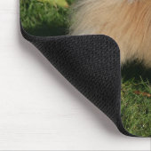 Pommerse Permanente Muismat (Hoek)