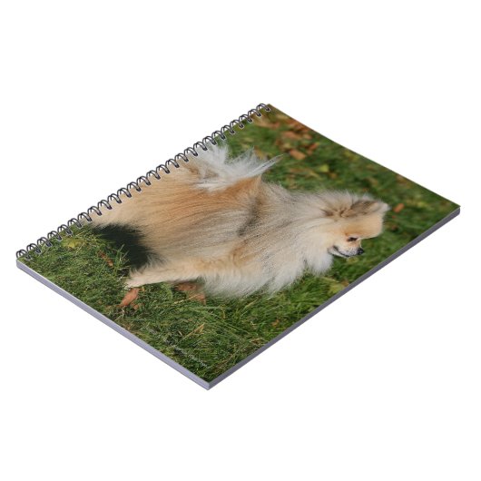 Pommerse Permanente Notitieboek (Linkerzijde)