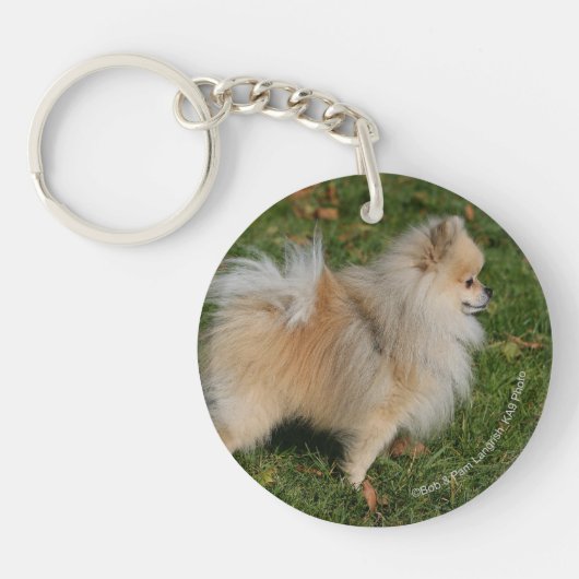 Pommerse Permanente Sleutelhanger (Voorkant)