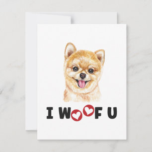 Pommerse pom Dog ik wil je