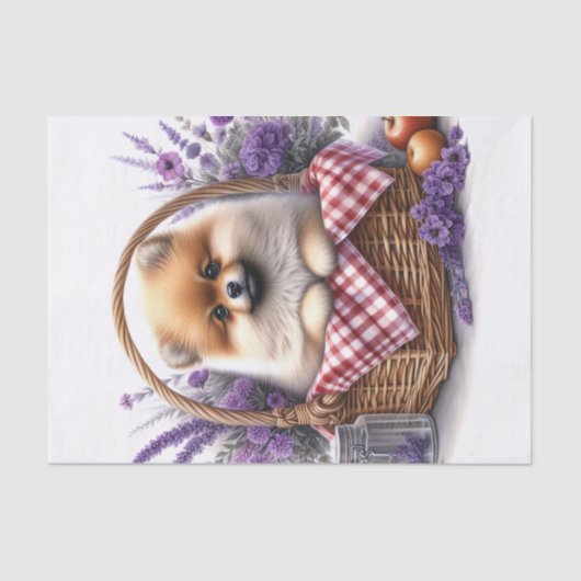 Pommerse Puppy Dog Waterverf Bloemen Decoupage Tissuepapier (Voorkant)