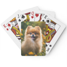 Pommerse Puppy in Bloemenveld