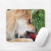 Pommerse Puppy met Bal Muismat (Met muis)