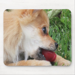 Pommerse Puppy met Bal Muismat